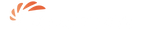 Langtian Battery Analyzer logo Green